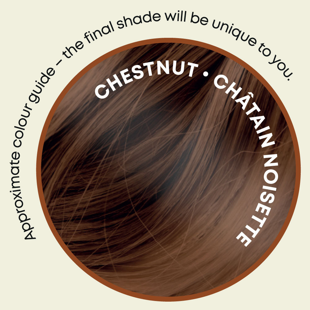 It&#39;s Pure Herbal Hair Colour Chestnut Swatch